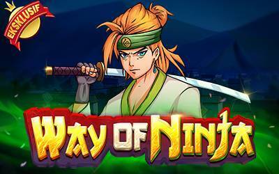Way of Ninja